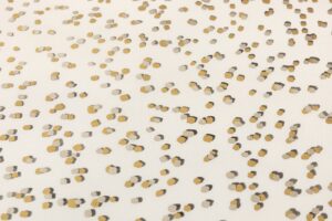 人間国宝 福田喜重作　塩瀬九寸名古屋帯のサブ2画像