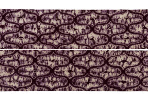 南部紫根染 綿九寸名古屋帯のサブ5画像