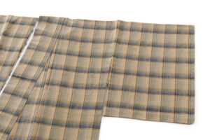 陽山めぐみ作　手紡 木綿 単衣 着物のサブ1画像