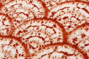 南部茜染 綿九寸名古屋帯のサブ3画像