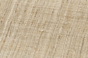 日本工芸会正会員 鈴木苧紡庵作　重要無形文化財 越後上布 八寸名古屋帯のサブ5画像